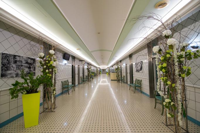 Hotel Terme Antoniano | Montegrotto Terme |  - 31