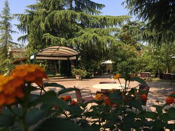 Hotel Terme Antoniano | Montegrotto Terme |  - 50